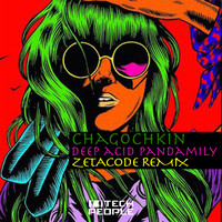 Chagochkin - Deep Acid Pandamily (Zetacode Remix)