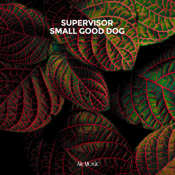 Supervisor - Small Good Dog (Explicit)