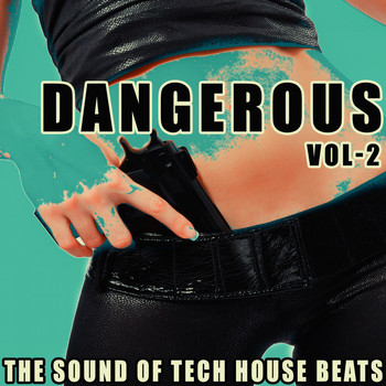 Various Artists - Dangerous, Vol. 2 (The Sound of Tech House Beats)