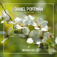 Daniel Portman - Endorphine
