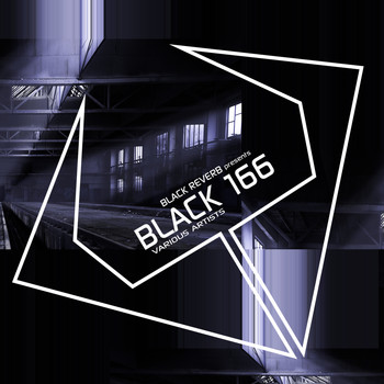 Various Artists - Black 166