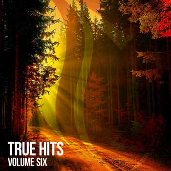 Various Artists - True Hits, Vol. 6