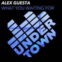 Alex Guesta - What you waiting for