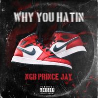 Prince Jay - Why You Hatin (Explicit)