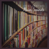 Background Music & Sounds from I'm In Records - Study Ambience: Rain Sounds