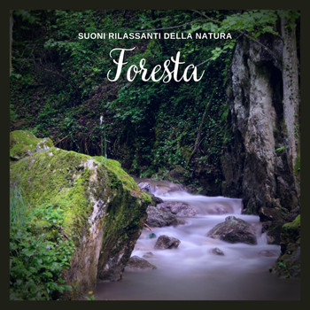 Musica Rilassante & Benessere - Suoni Rilassanti della Natura: Foresta