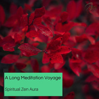 Austin Rock - A Long Meditation Voyage - Spiritual Zen Aura