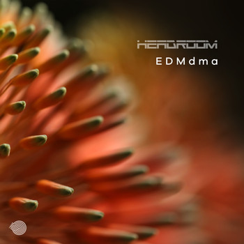 Headroom (SA) - Edmdma