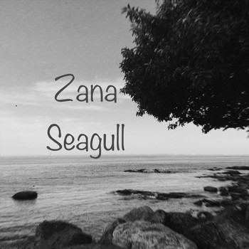 Zana - Seagull