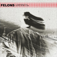 Felons - Cybernetic Organism