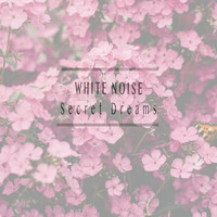 White Noise - Secret Dreams