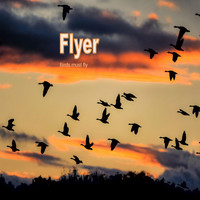 Flyer - Birds Must Fly