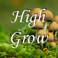 SmallShroom - High Grow
