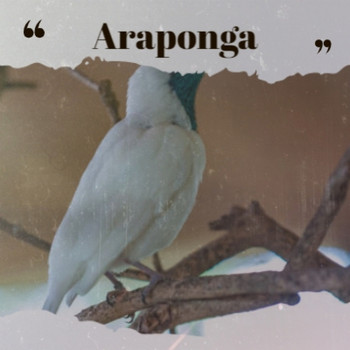 Various Artist - Araponga