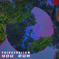 Prince Valium - You Run (Double Single)