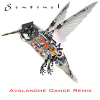 Sentinel - Avalanche Dance Remix