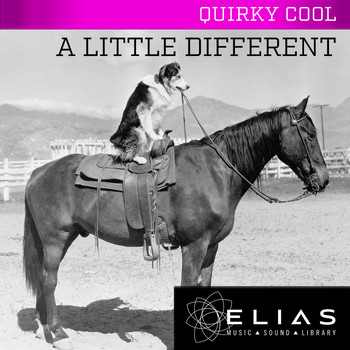 Various Artists - A Little Different