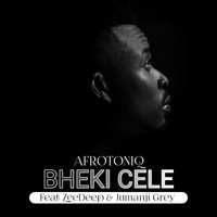 AfroToniQ / - Bheki Cele