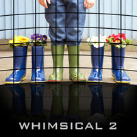 Christopher Franke - Whimsical 2