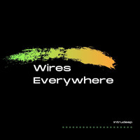 Wires Everywhere / - Time Healing