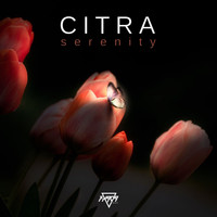 Citra - Serenity