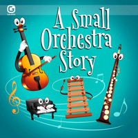 Laurent Dury - A Small Orchestra Story