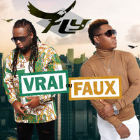 Fly - Vrai Ou Faux