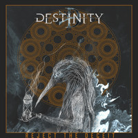 Destinity - Reject the Deceit