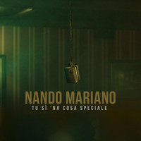 Nando Mariano - Tu sì 'na cosa speciale