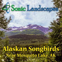 Sonic Landscapes - Alaskan Songbirds Near Mosquito Lake, AK