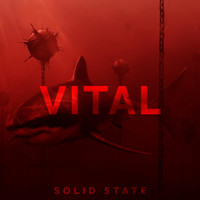 Solid State - Vital