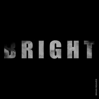 Brian Reaver - Bright (Digital Version)