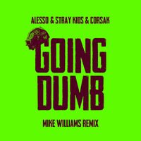 Alesso, Stray Kids & CORSAK - Going Dumb (Mike Williams Remix)