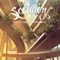 Solution - Palm Trees and Freeways