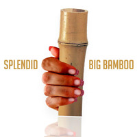 Splendid - Big Bamboo (Radio Edit)