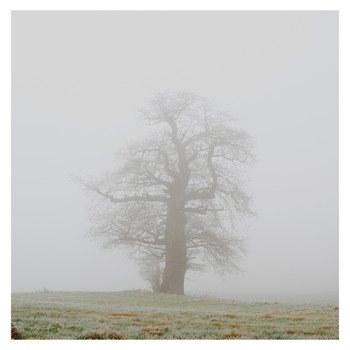 Ambling - A Quiet Pair