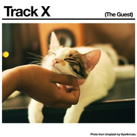 Black Country, New Road - Track X (The Guest)