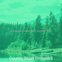 Country Blues Orchestra - Successful Ambiance for Summer Trips