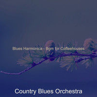 Country Blues Orchestra - Blues Harmonica - Bgm for Coffeehouses