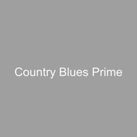 Country Blues Prime - Slow Blues Guitar - Ambiance for Barbecues