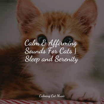Music For Cats TA, Cat Music, Music for Cats Deluxe - Calm & Affirming Sounds For Cats | Sleep and Serenity