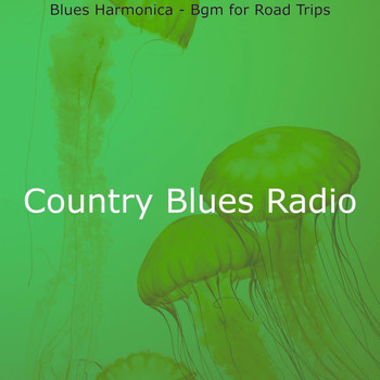 Country Blues Radio - Blues Harmonica - Bgm for Road Trips