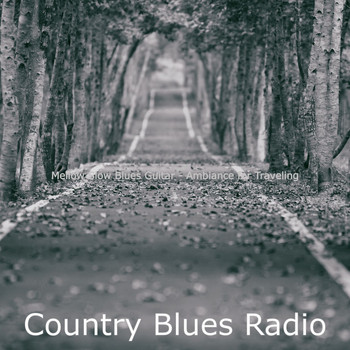 Country Blues Radio - Mellow Slow Blues Guitar - Ambiance for Traveling