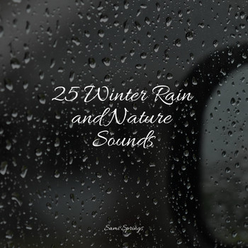 Nature Sounds Collection, Sleep Sounds of Nature, Natureza Musica Bem-Estar Academia - 25 Sounds of Thunderstorms: Natural Rain Sounds