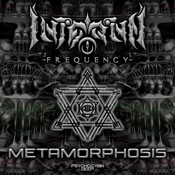 Internal Frequency - Metamorphosis