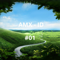 AmX - Id#01