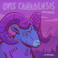 Ossa & Wake - Ovis Canadensis
