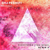 DJ BIG S - Everything (You Need)
