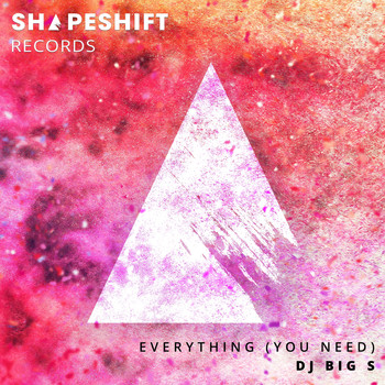 DJ BIG S - Everything (You Need)
