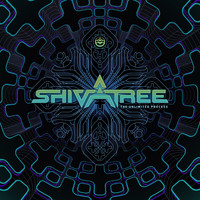 Shivatree - The Unlimited Process